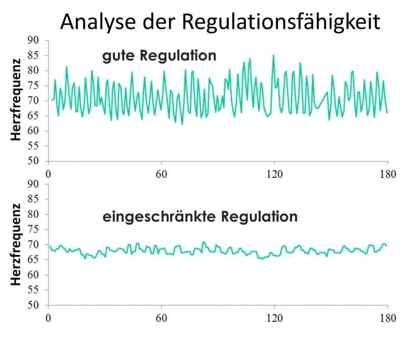 Analyse_Regulationsfaehigkeit