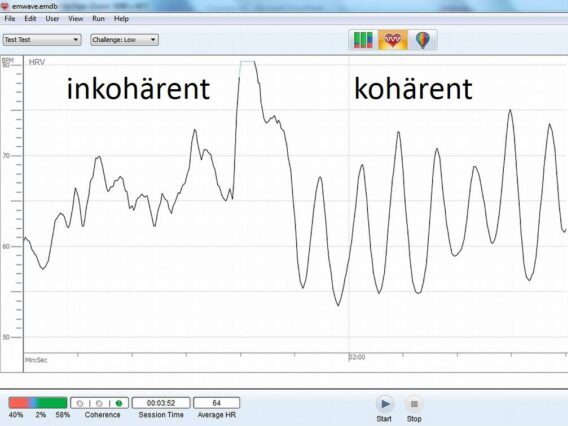 Kohärenz als zentraler Wirkfaktor im Coaching-Prozess